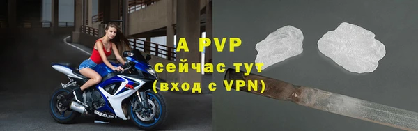 винт Алексин