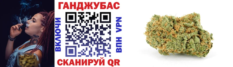 Бошки марихуана индика  Петрозаводск 